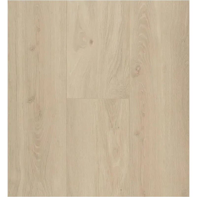 Berryalloc Connect 8  Bloom Sand Natur241x2038x8mm Laminatgulv fra Berry Alloc